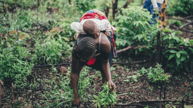 名言を英語で 人間に関して最も驚いたことを問われた際 ダライ ラマは答えた 人間は お金を稼ぐために健康を犠牲にする 名言の旅 E J Quotes 日本語と英語で名言 格言 ことわざ巡り